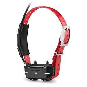 TB 10 Dog Device - Image 2
