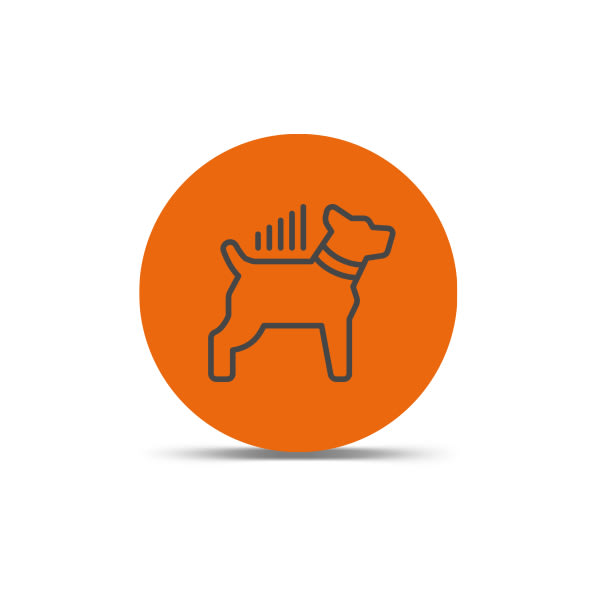 LTE Dog Tracking Plans - Image 2