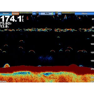 GSD™ 24 Advanced Sonar Module - Image 4